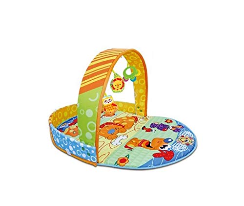 Baby Blanket 2 in 1 Cute Cartoon Gym Blanket