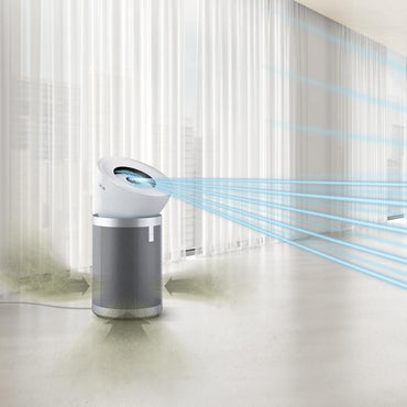 Dyson Big + Quiet Purifier