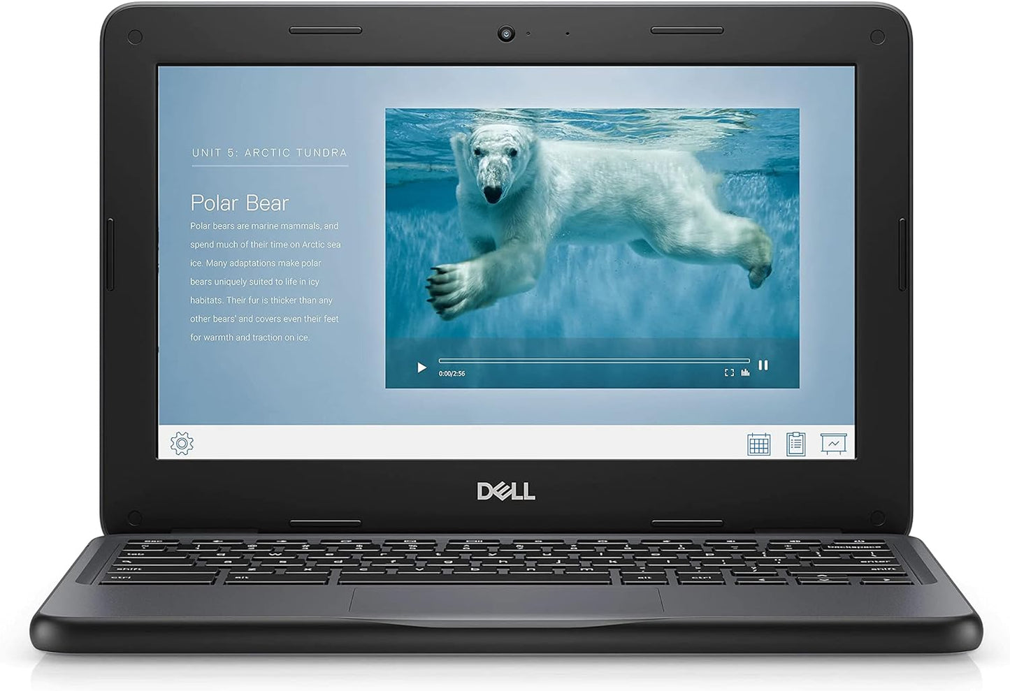 USED - Dell Chromebook 11 3100 11.6"" Touchscreen Chromebook - HD - 1366 x 768