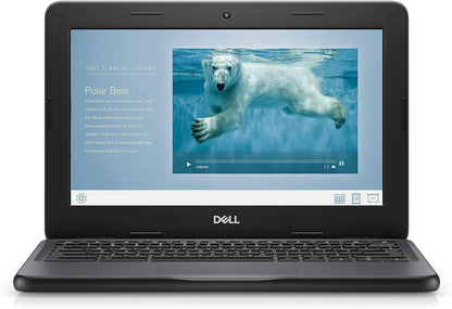 USED - Dell Chromebook 11 3100 11.6"" Touchscreen Chromebook - HD - 1366 x 768