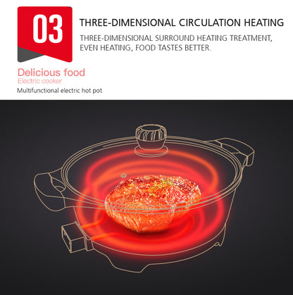 9-in-1 Multi-Purpose Electric Cooking Pot - 9 Litres