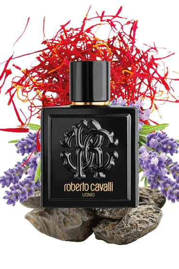 ROBERTO CAVALLI UOMO-EDT-100ML-M(TES)