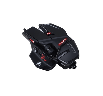 قطط مجنونة، جرذان 6+