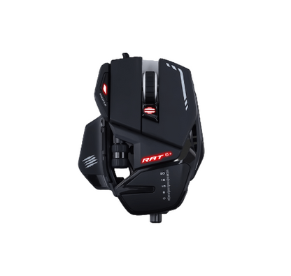 قطط مجنونة، جرذان 6+