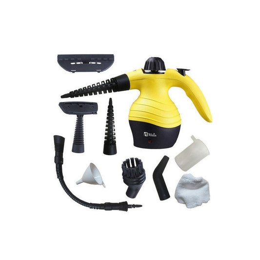 STEAM CLEANER DF-A001